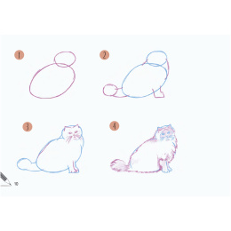 Draw 30: Cats in the group Hobby & Creativity / Books / Art Instruction Books at Pen Store (137211)