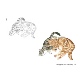 Draw 30: Cats in the group Hobby & Creativity / Books / Art Instruction Books at Pen Store (137211)