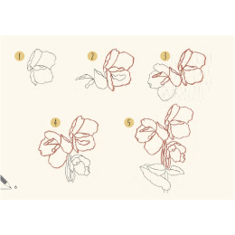 Draw 30: Flowers in the group Hobby & Creativity / Books / Art Instruction Books at Pen Store (137215)