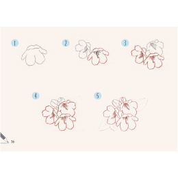 Draw 30: Flowers in the group Hobby & Creativity / Books / Art Instruction Books at Pen Store (137215)