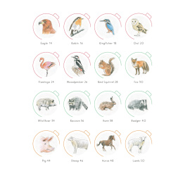 Draw in 10 Minutes: Animals in the group Hobby & Creativity / Books / Art Instruction Books at Pen Store (137218)