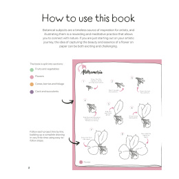 Draw in 10 Minutes: Botanicals in the group Hobby & Creativity / Books / Art Instruction Books at Pen Store (137219)