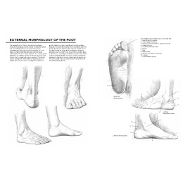 Drawing: A Complete Guide in the group Hobby & Creativity / Books / Inspirational Books at Pen Store (137220)