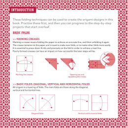 Hola Mexico! 25 Origami Projects in the group Hobby & Creativity / Books / Art Instruction Books at Pen Store (137222)