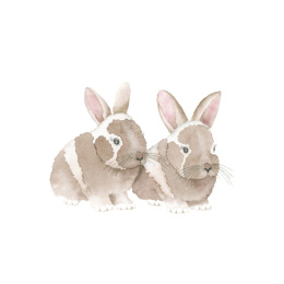 How to Draw: Baby Animals in the group Hobby & Creativity / Books / Art Instruction Books at Pen Store (137223)