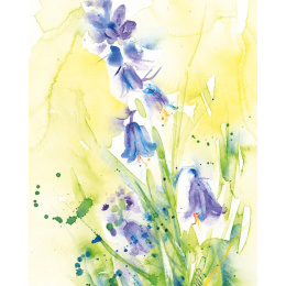 Loose and Lively Flowers in Watercolour, Inks & Mixed Media in the group Hobby & Creativity / Books / Inspirational Books at Pen Store (137226)