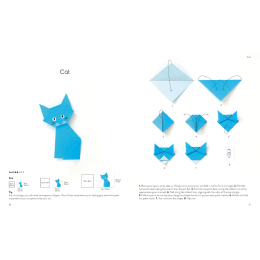 Origami for the Absolute Beginner in the group Hobby & Creativity / Books / Art Instruction Books at Pen Store (137227)