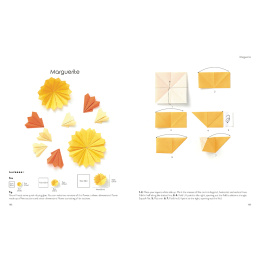 Origami for the Absolute Beginner in the group Hobby & Creativity / Books / Art Instruction Books at Pen Store (137227)