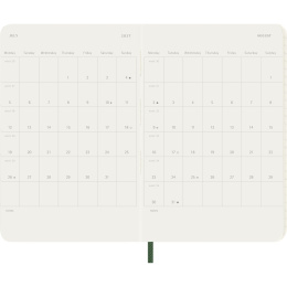 Calendar 12M Daily 2027 Softcover Pocket Myrtle Green in the group Paper & Pads / Planners / 12-Month Planners at Pen Store (137431)