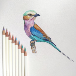 Irojiten coloured pencils, set of 36 in the group Pens / Artist Pens / Colored Pencils at Pen Store (137566)