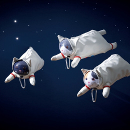 Pencil case Astro Cat Hachiware in the group Pens / Pen Accessories / Pencil Cases at Pen Store (137910)