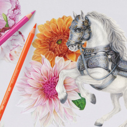 Colouring pencils Polychromos 140-set  in the group Pens / Artist Pens / Colored Pencils at Pen Store (137959)