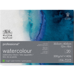 Professional Watercolour Pad Rough 31x41 cm 300g in the group Paper & Pads / Artist Pads & Paper / Watercolor Pads at Pen Store (138088)